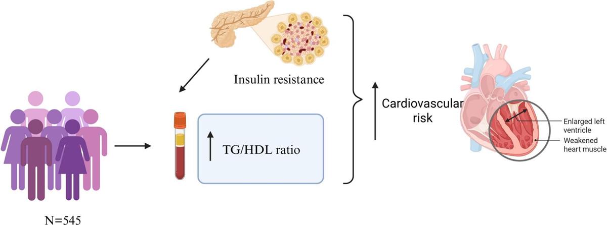 Triglyceride HDL ratio